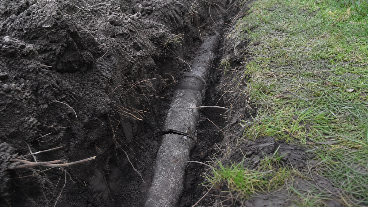Aufgegrabener Graben im Garten mit freigelegtem Abwasserrohr, im Erdreich sind Risse und eingewachsene Wurzeln sichtbar